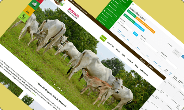 Annammilk Web Apps and CRM